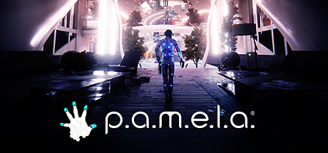 PAMELA Cover PC