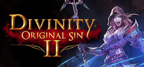 Divinity: Original Sin 2 Cover PC