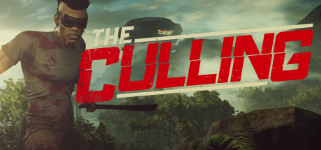 The Culling Cover PC