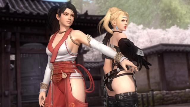 Dead or Alive 5 Dead or Alive 5
